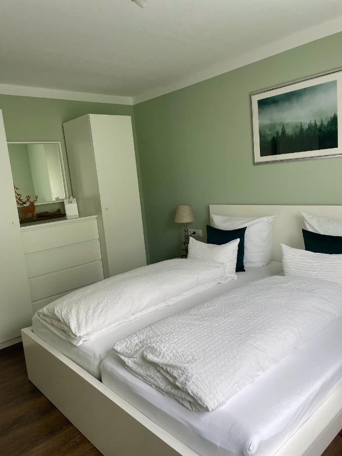 Blackforest Apartment Freudenstadt Esterno foto
